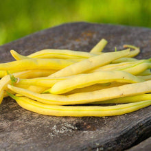 Load image into Gallery viewer, Urban Garden Seed Kit (12 packets inside)