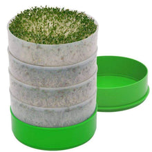 Load image into Gallery viewer, Deluxe Kitchen Crop & Seed Sprouter Trays