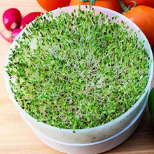 Load image into Gallery viewer, Deluxe Kitchen Crop & Seed Sprouter Trays