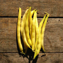 Load image into Gallery viewer, Organic Golden Wax Beans (15g)